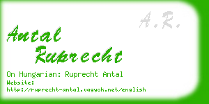 antal ruprecht business card